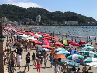 F2532CB2-15C2-4F94-B8F1-528DEFB6660F.jpeg