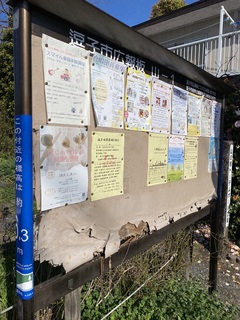 IMG_6295.jpeg