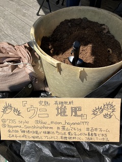 IMG_7894.jpeg