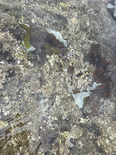 IMG_8046.jpeg
