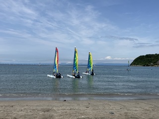 IMG_8062.jpeg