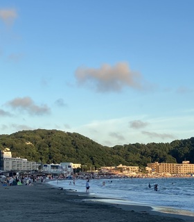 IMG_8254.jpeg