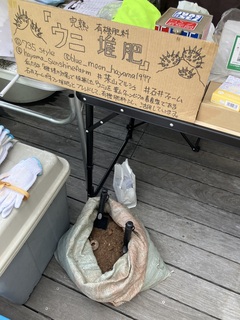 IMG_8384.jpeg